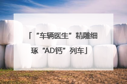 “车辆医生”精雕细琢“AD钙”列车