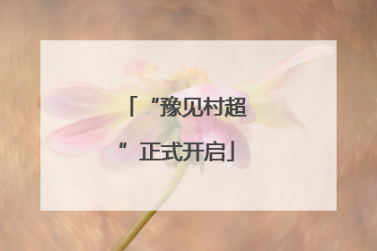 “豫见村超”正式开启