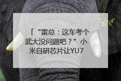 “雷总：这车考个武大没问题吧？”小米自研芯片让YU7会学习｜汽车科技