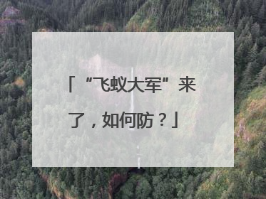 “飞蚁大军”来了，如何防？