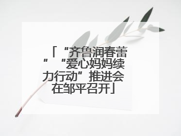 “齐鲁润春蕾”“爱心妈妈续力行动”推进会在邹平召开