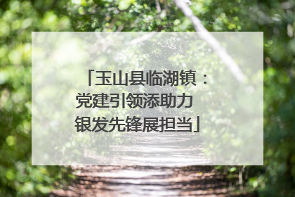 玉山县临湖镇：党建引领添助力 银发先锋展担当