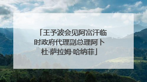 王予波会见阿富汗临时政府代理副总理阿卜杜·萨拉姆·哈纳菲