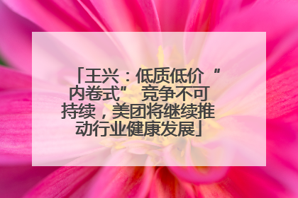王兴：低质低价“内卷式” 竞争不可持续，美团将继续推动行业健康发展