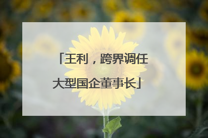王利，跨界调任大型国企董事长