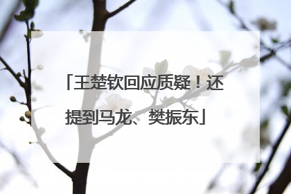 王楚钦回应质疑！还提到马龙、樊振东