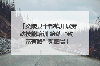 炎陵县十都镇开展劳动技能培训 绘就“致富有路”新图景