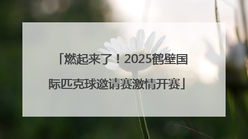 燃起来了！2025鹤壁国际匹克球邀请赛激情开赛
