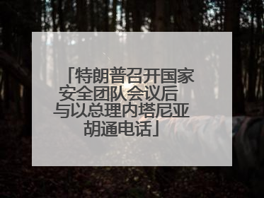 特朗普召开国家安全团队会议后 与以总理内塔尼亚胡通电话