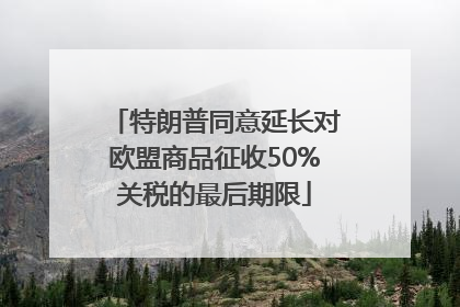 特朗普同意延长对欧盟商品征收50%关税的最后期限
