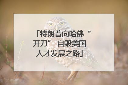 特朗普向哈佛“开刀” 自毁美国人才发展之路