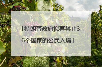 特朗普政府拟再禁止36个国家的公民入境