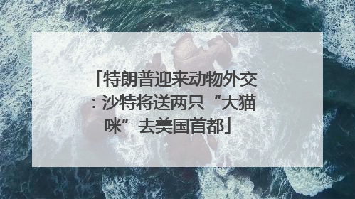 特朗普迎来动物外交：沙特将送两只“大猫咪”去美国首都