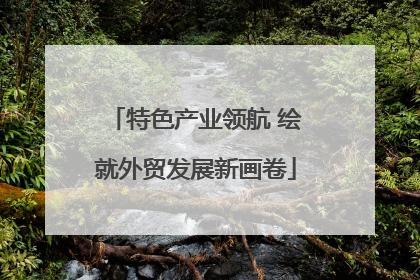 特色产业领航 绘就外贸发展新画卷