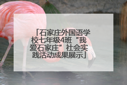 石家庄外国语学校七年级4班“我爱石家庄”社会实践活动成果展示