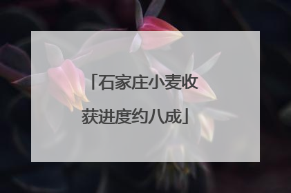 石家庄小麦收获进度约八成