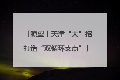 瞭望丨天津“大”招打造“双循环支点”
