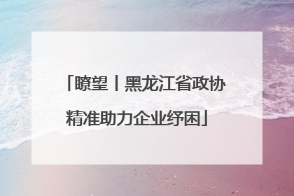 瞭望丨黑龙江省政协精准助力企业纾困