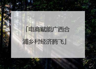 电商赋能广西合浦乡村经济腾飞