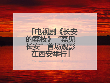 电视剧《长安的荔枝》“荔见长安”首场观影在西安举行