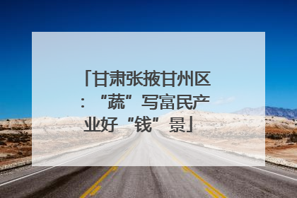 甘肃张掖甘州区：“蔬”写富民产业好“钱”景