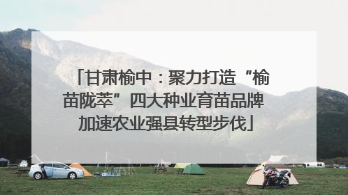 甘肃榆中：聚力打造“榆苗陇萃”四大种业育苗品牌 加速农业强县转型步伐