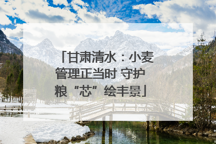 甘肃清水：小麦管理正当时 守护粮“芯”绘丰景