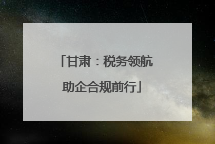 甘肃：税务领航 助企合规前行