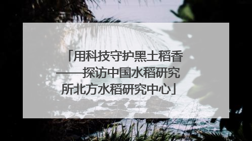 用科技守护黑土稻香——探访中国水稻研究所北方水稻研究中心