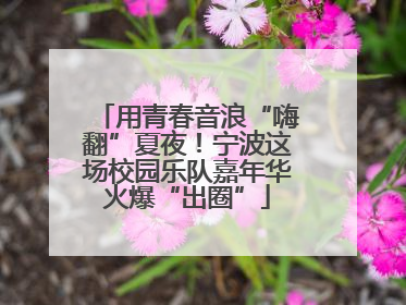 用青春音浪“嗨翻”夏夜！宁波这场校园乐队嘉年华火爆“出圈”