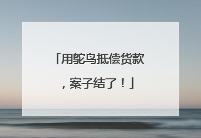 用鸵鸟抵偿货款，案子结了！