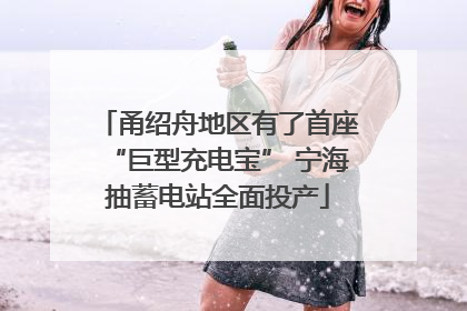 甬绍舟地区有了首座“巨型充电宝” 宁海抽蓄电站全面投产