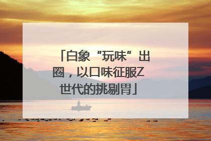 白象“玩味”出圈，以口味征服Z世代的挑剔胃