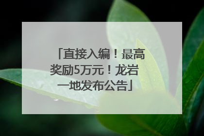 直接入编！最高奖励5万元！龙岩一地发布公告