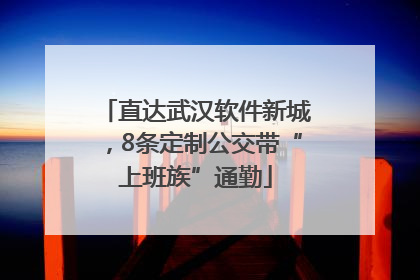 直达武汉软件新城，8条定制公交带“上班族”通勤
