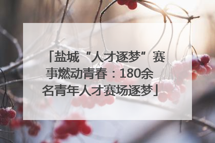 盐城“人才逐梦”赛事燃动青春：180余名青年人才赛场逐梦