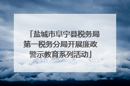 盐城市阜宁县税务局第一税务分局开展廉政警示教育系列活动