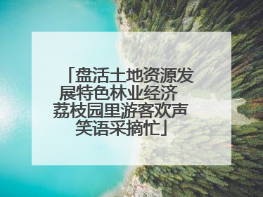 盘活土地资源发展特色林业经济 荔枝园里游客欢声笑语采摘忙