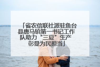 省农信联社派驻鱼台县唐马镇第一书记工作队助力“三夏”生产 彰显为民担当