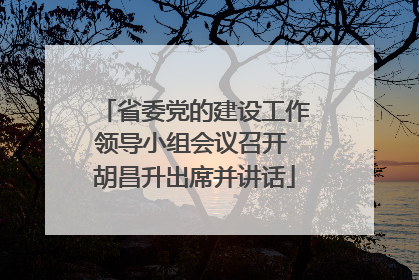 省委党的建设工作领导小组会议召开 胡昌升出席并讲话