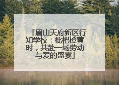 眉山天府新区行知学校：枇杷橙黄时，共赴一场劳动与爱的盛宴