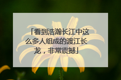 看到浩瀚长江中这么多人组成的渡江长龙，非常震撼