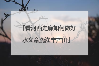 看河西走廊如何做好水文章浇灌丰产田