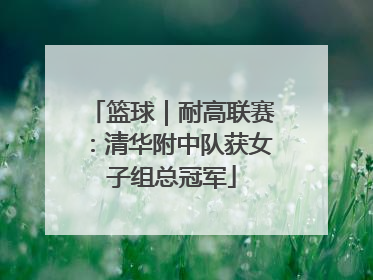 篮球｜耐高联赛：清华附中队获女子组总冠军