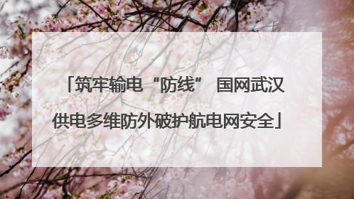 筑牢输电“防线” 国网武汉供电多维防外破护航电网安全