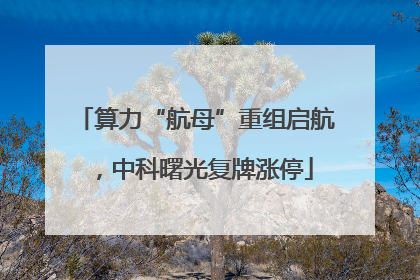 算力“航母”重组启航，中科曙光复牌涨停