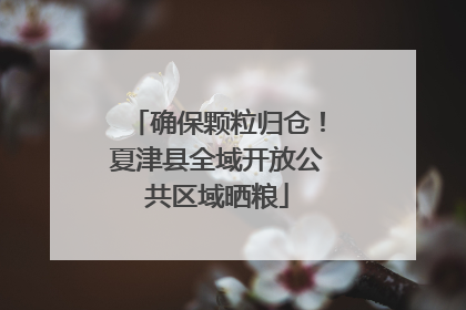 确保颗粒归仓！夏津县全域开放公共区域晒粮