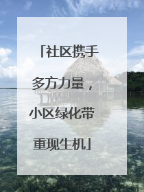 社区携手多方力量，小区绿化带重现生机