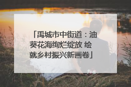 禹城市中街道：油葵花海绚烂绽放 绘就乡村振兴新画卷