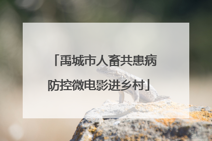 禹城市人畜共患病防控微电影进乡村